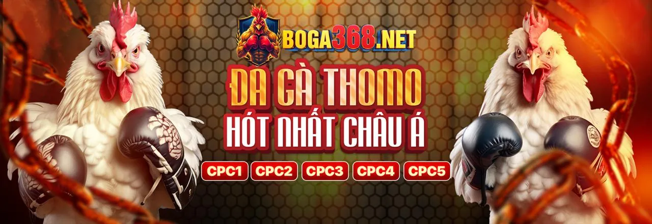 Đá gà Trực Tuyến ga179 chính thức, sân đấu rực lửa